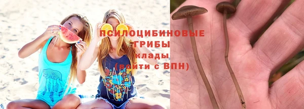 тгк Алексеевка