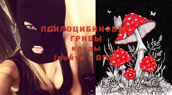 крисы Абаза