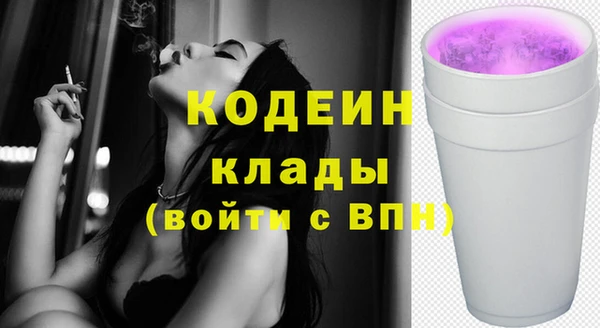 крисы Абаза