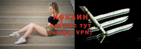 крисы Абаза