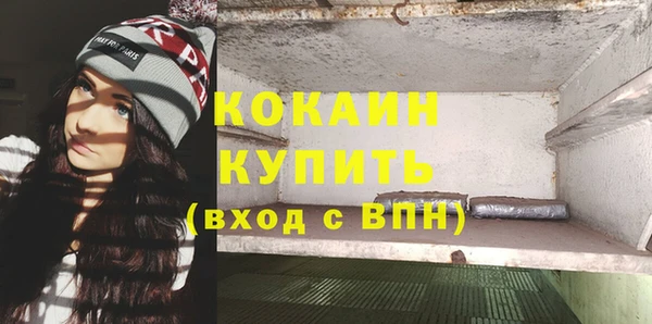 крисы Абаза