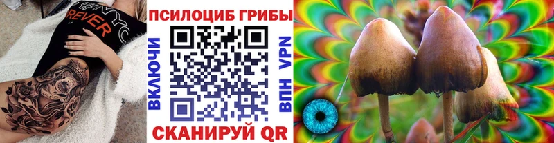 купить закладку  Бавлы  Галлюциногенные грибы GOLDEN TEACHER 