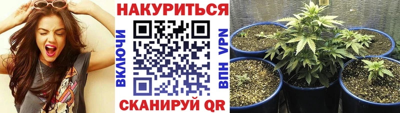 хочу наркоту  Бавлы  Марихуана VHQ 